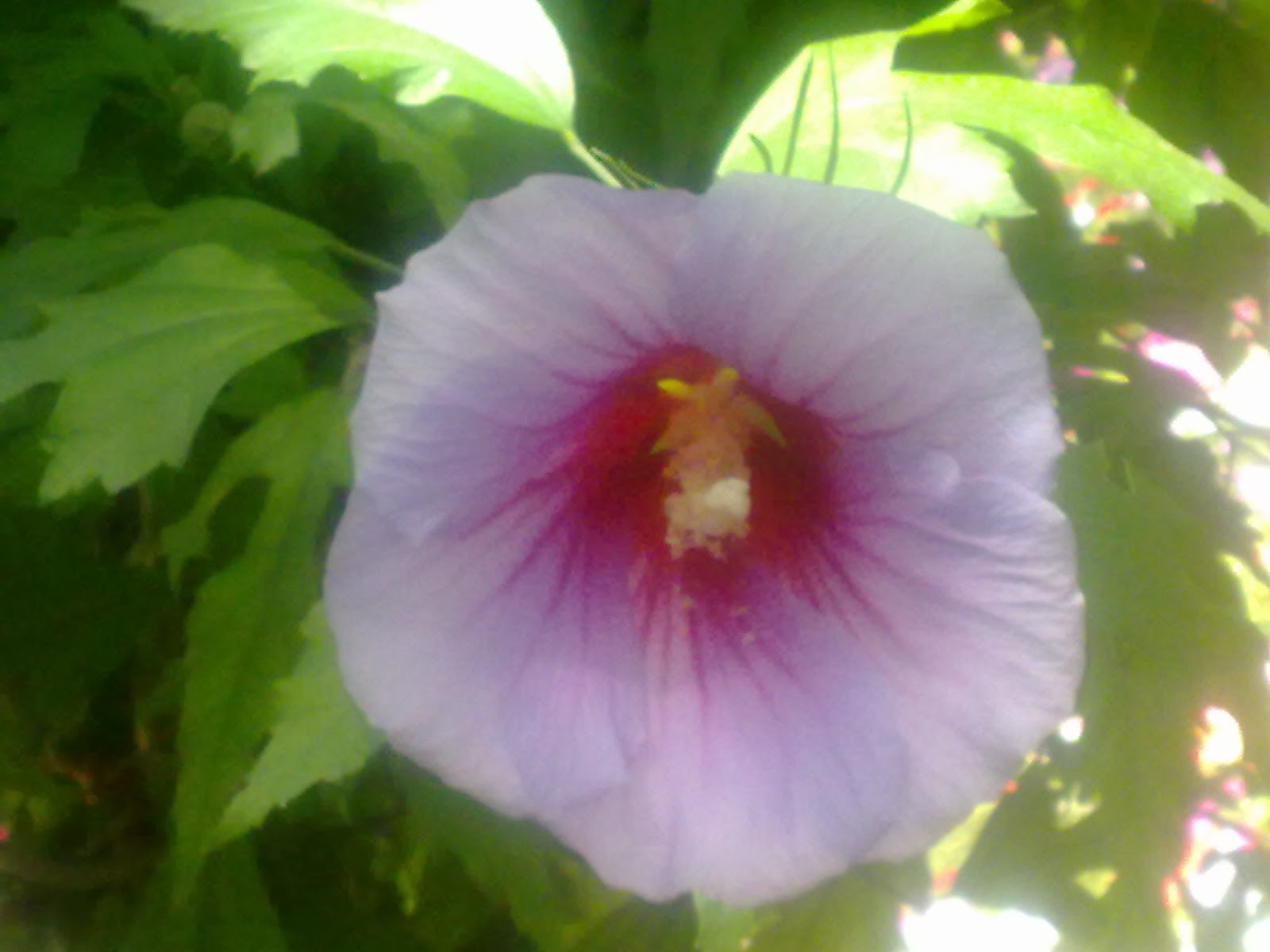 12082013609.jpg
