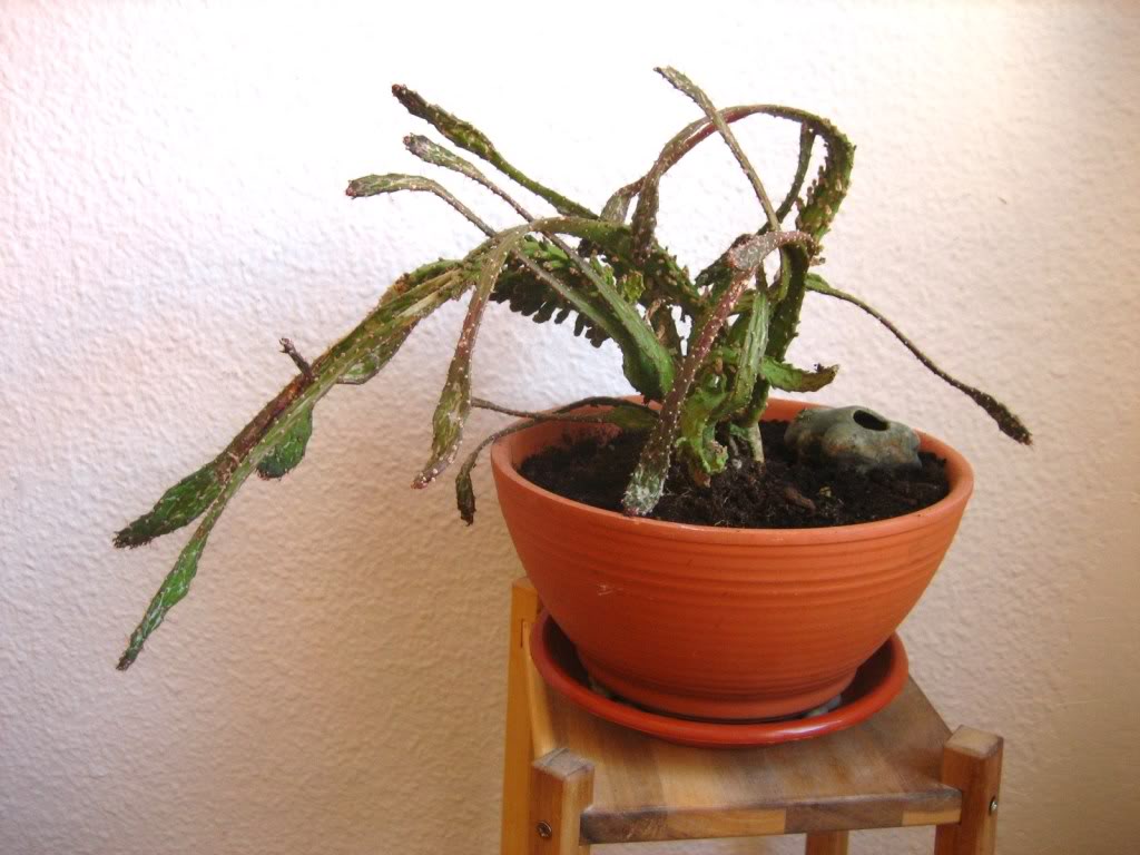 120910_0001.jpg