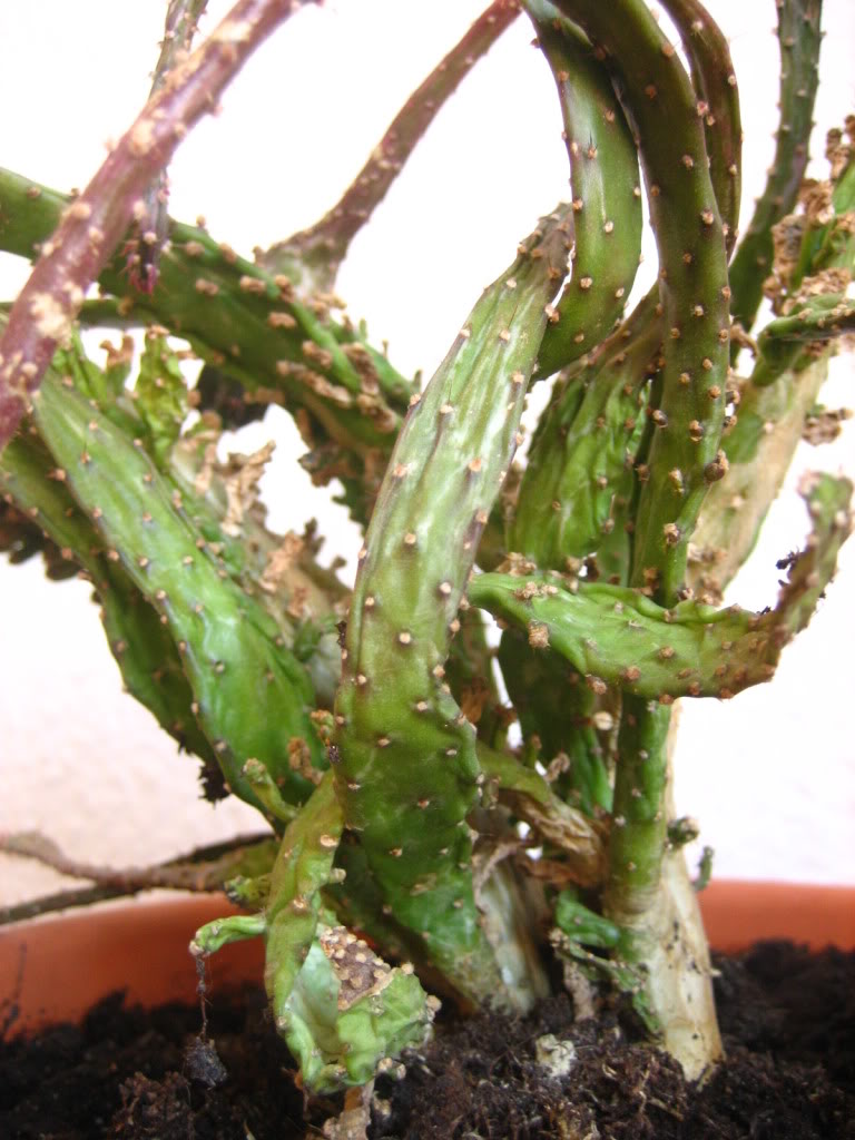 120910_0004.jpg