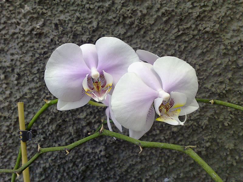 12092010233.jpg