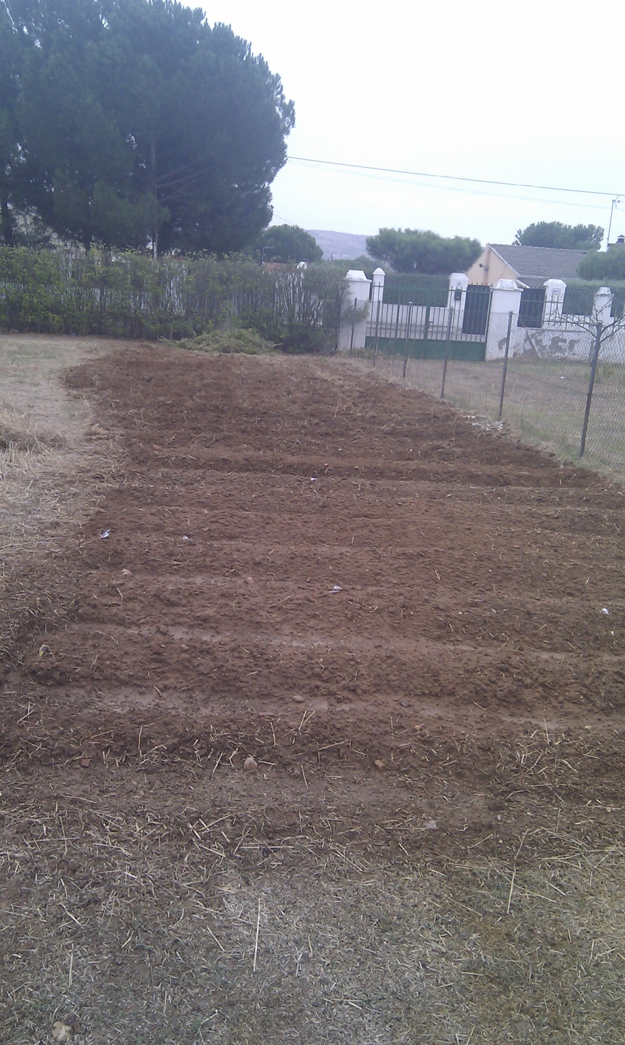 120h6qd.jpg