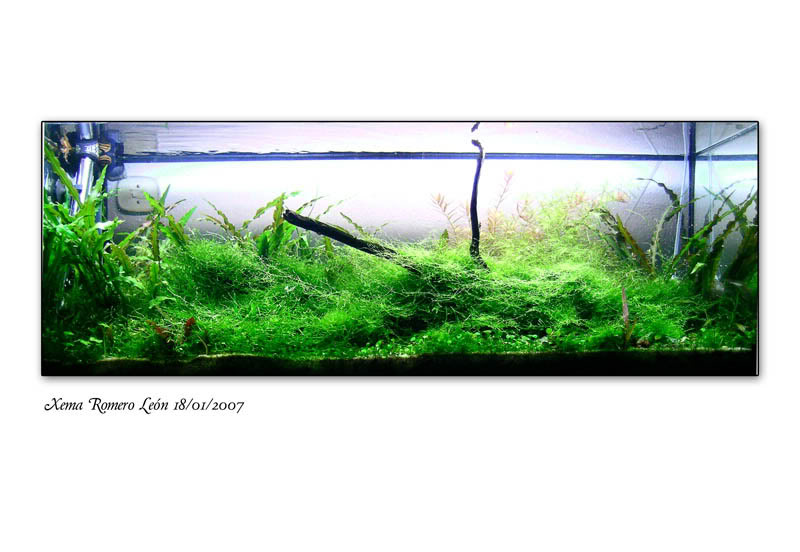 120tank0118012007800.jpg