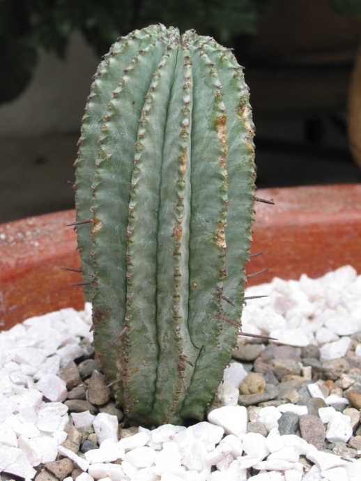 121-2197_IMG.JPG