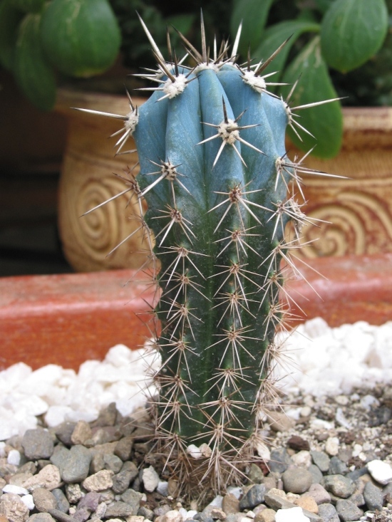 121-2199_IMG.JPG
