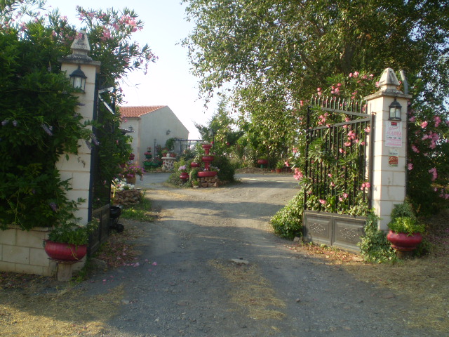 121.JPG