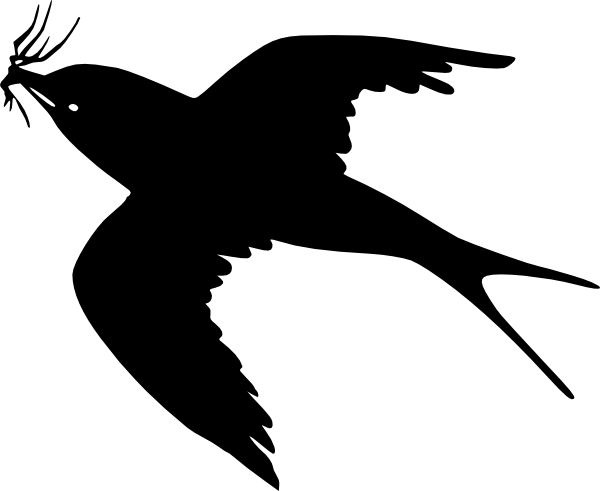1219803093415865566flying%20bird.svg.hi.png