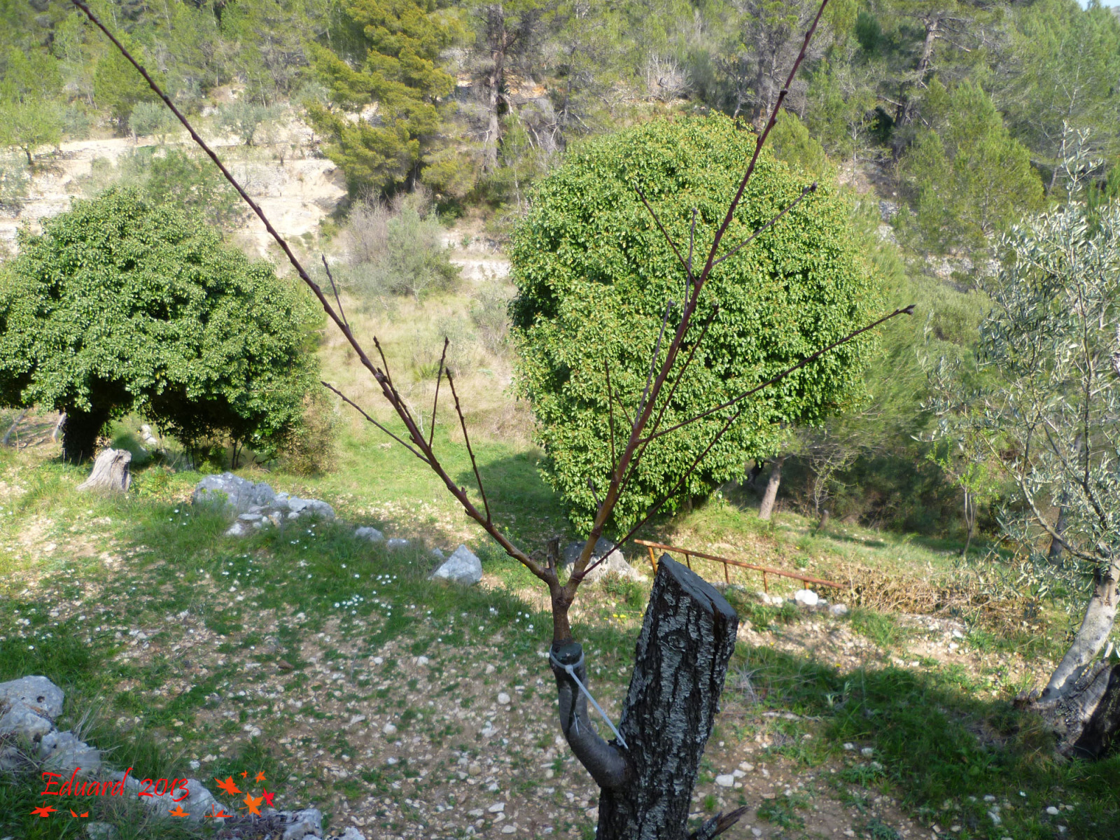 121ekb6.jpg