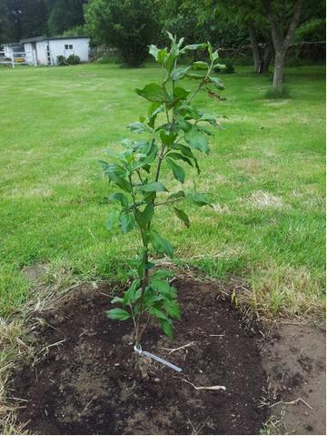 122eqsh.jpg