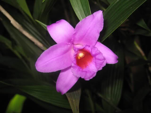 122lqvc.jpg