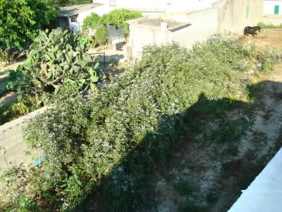 12302mq.jpg