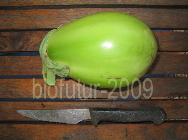 1248254812-dadi-fruit-2.JPG