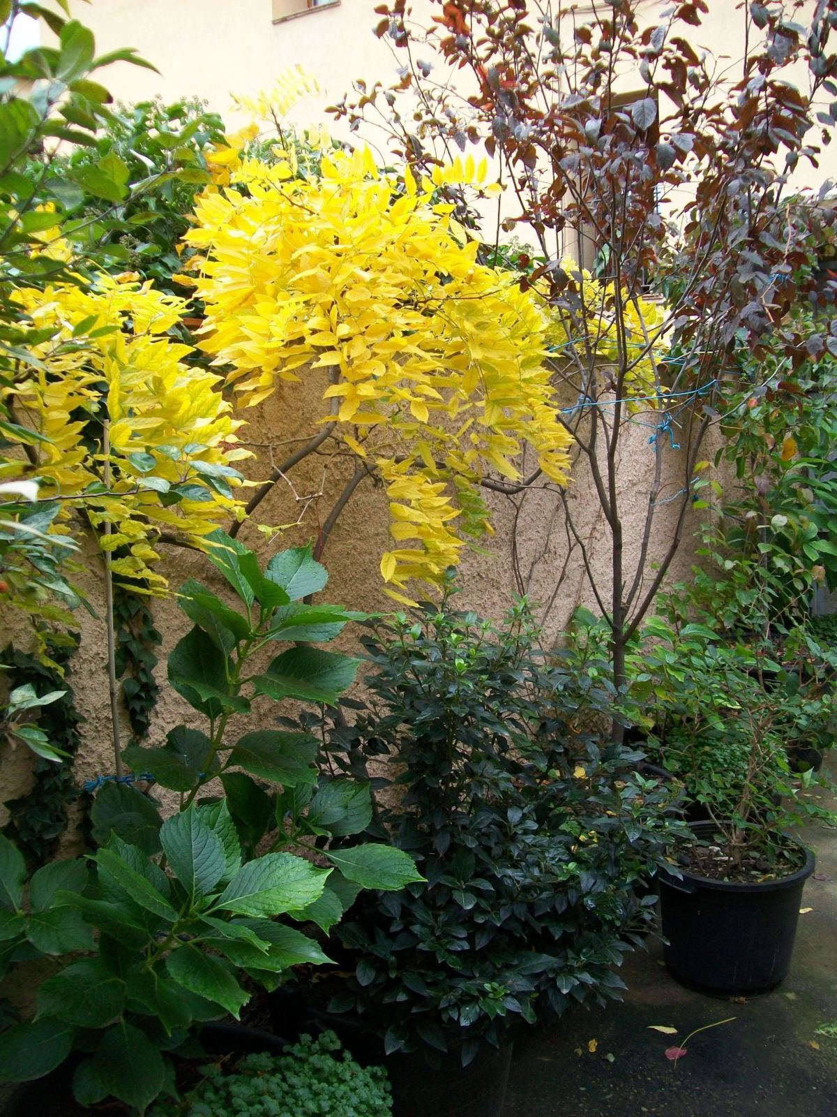 124f286.jpg