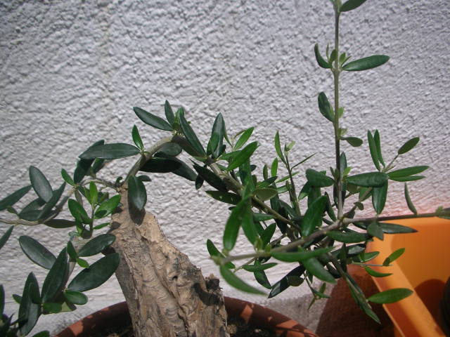 12542g0.jpg