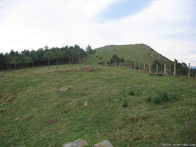 1265b421.jpg