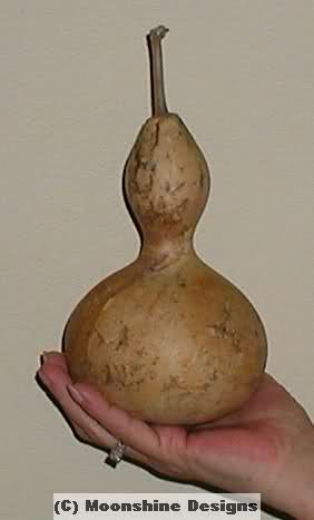 12679co.jpg