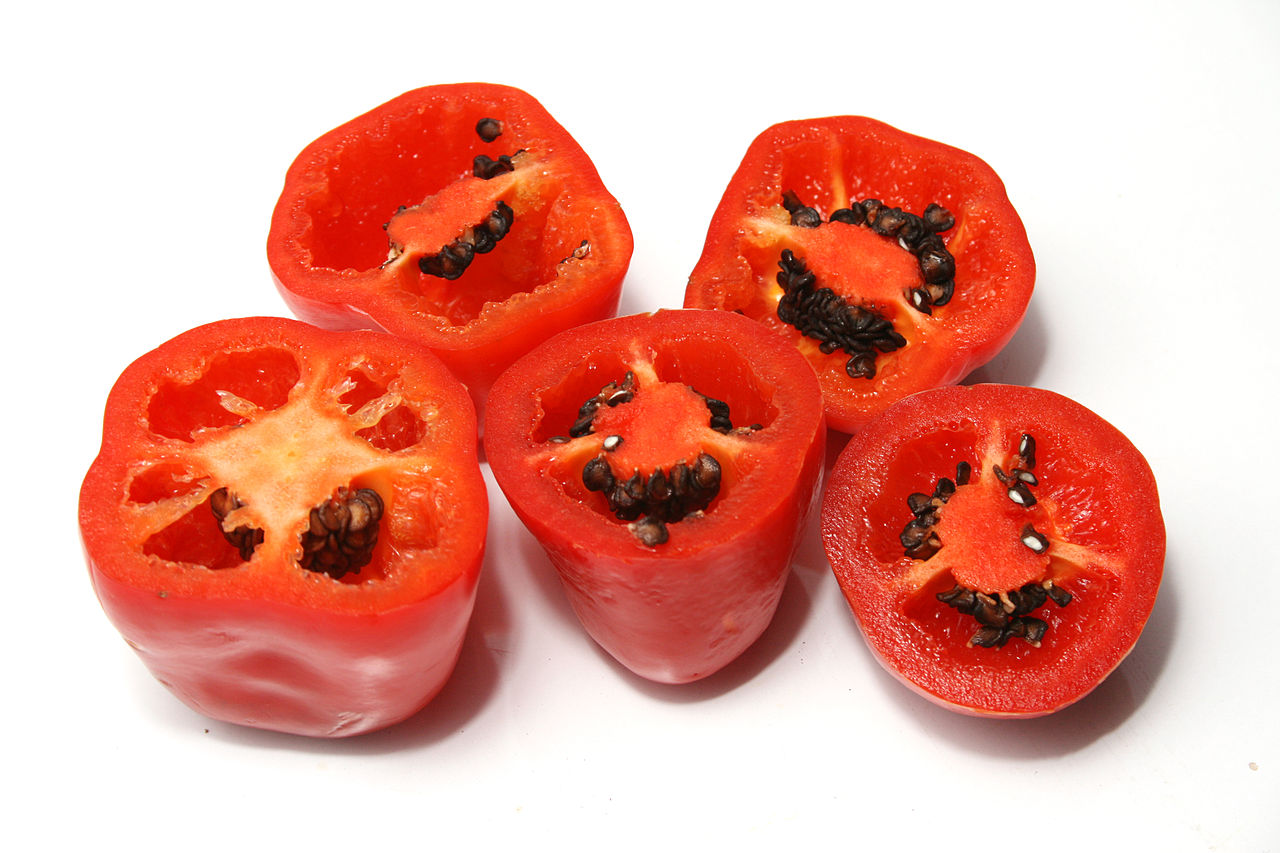 1280px-Rocoto.jpg