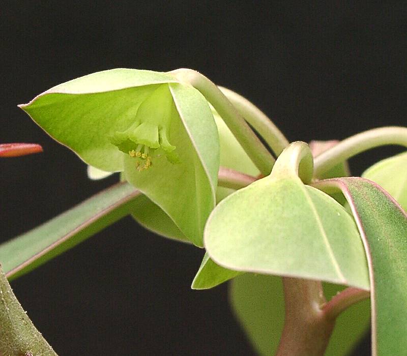 1295.jpg