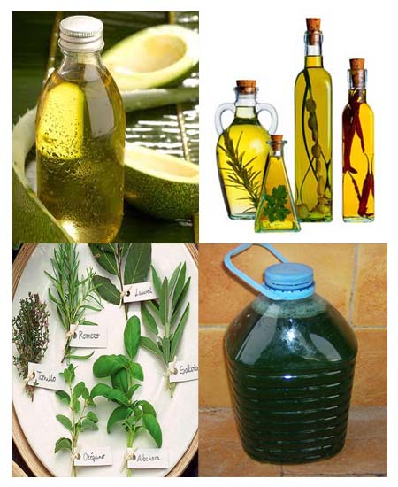12_composicion_extractos_aceites-purines.jpg