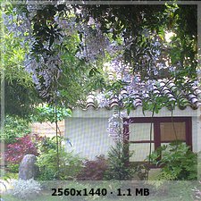 12d5a12da300d3081042656f85e85fb6o.jpg