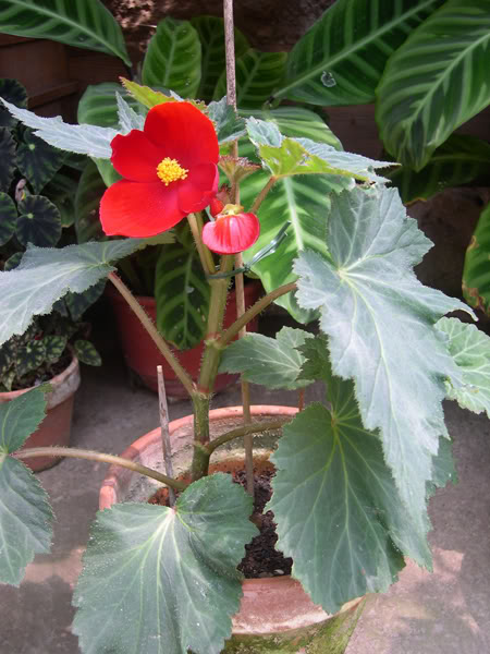 13-08-06-043.jpg