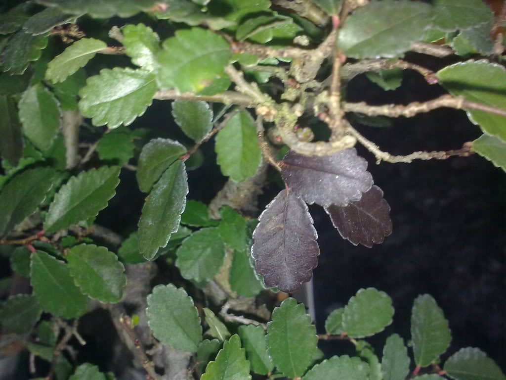 13022010375.jpg
