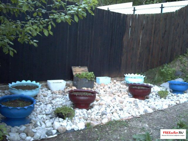 1304447700_3.jpg