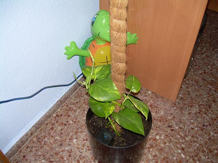 13052007 003.jpg
