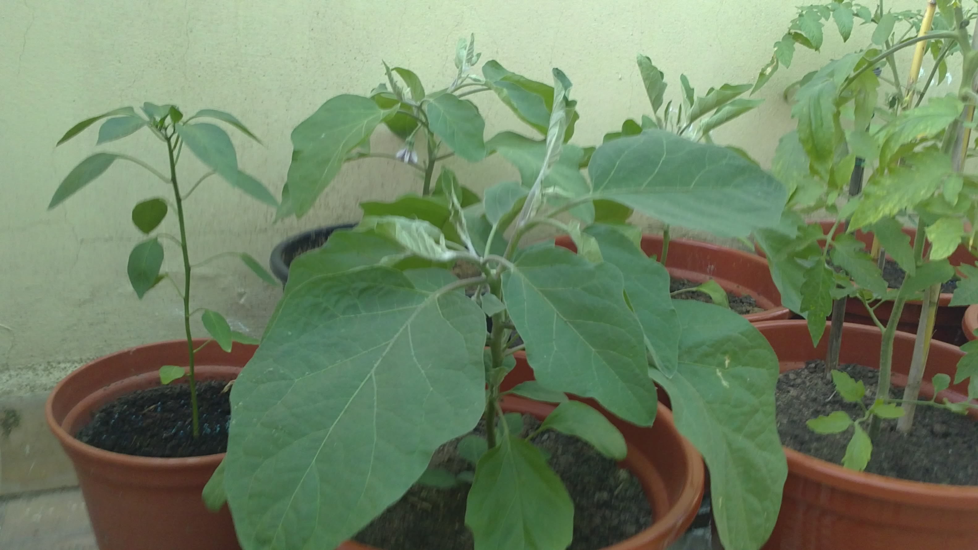 13052011145.jpg