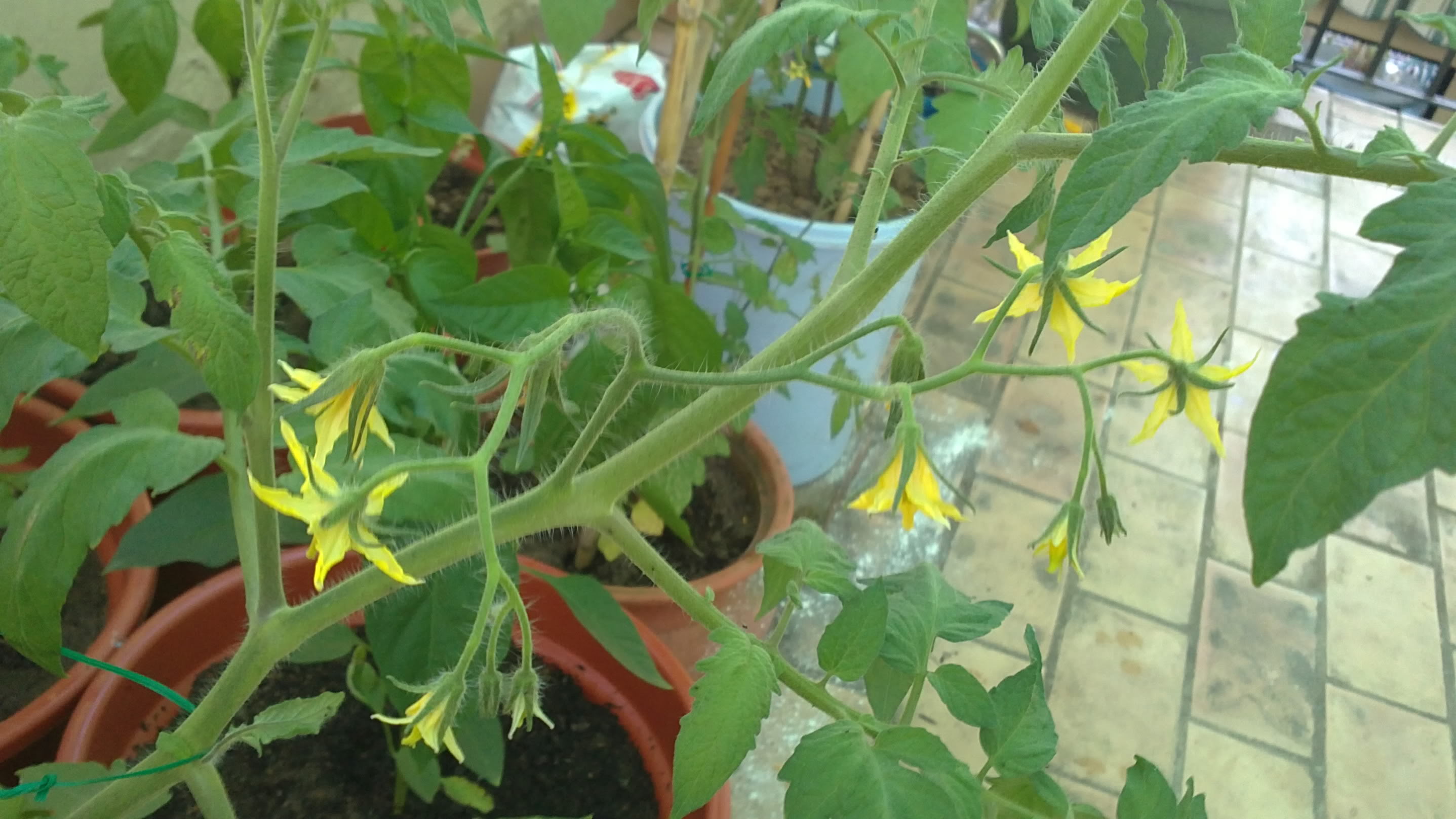 13052011148.jpg