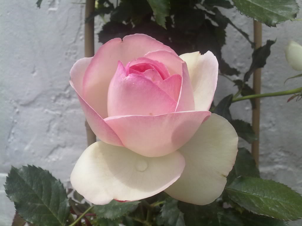 130520111866.jpg