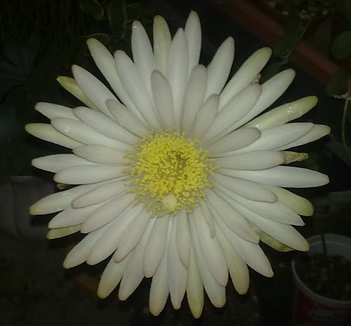 130520121532.jpg