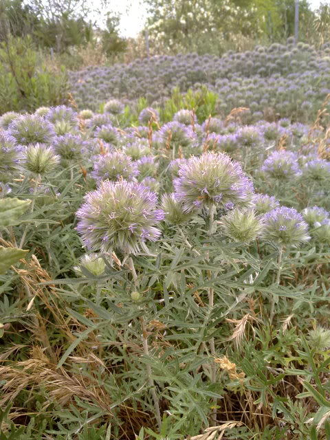 13062010345.jpg