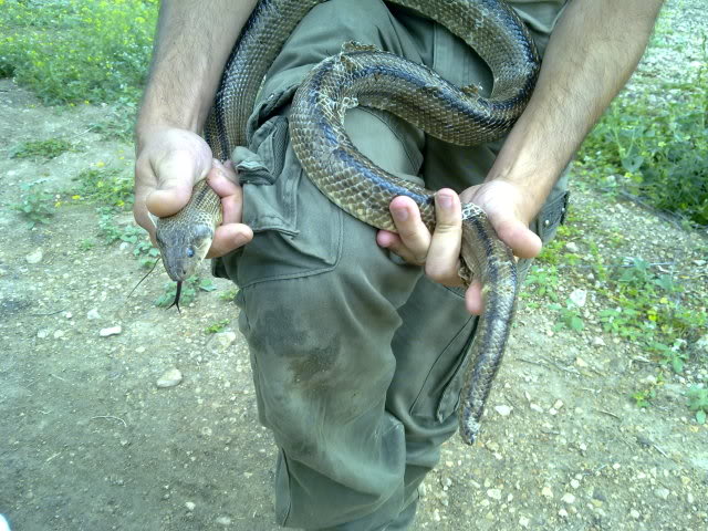13062010353.jpg
