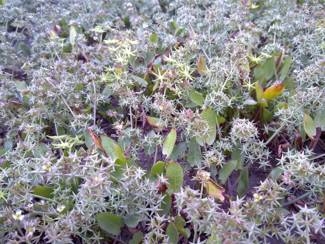 13062010367.jpg