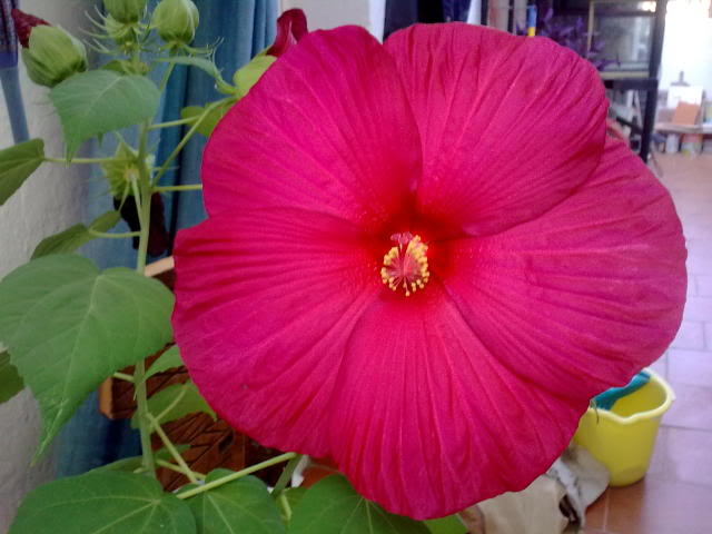 13072009_002.jpg