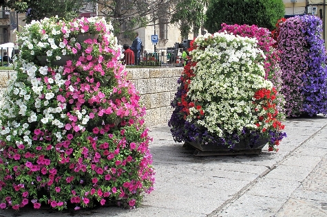 1307443633781jardinerasdn.jpg