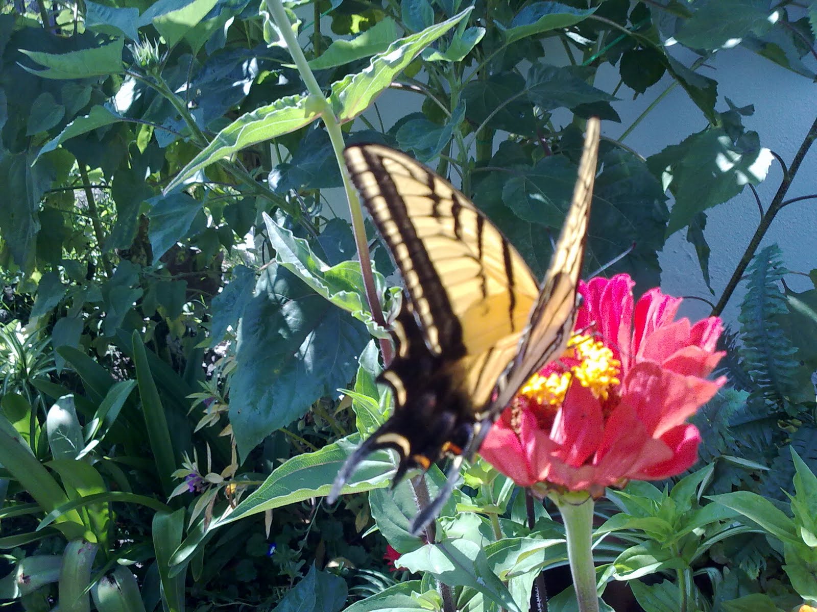 130820102638.jpg