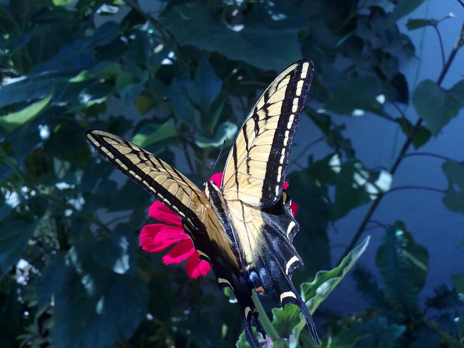 130820102642.jpg