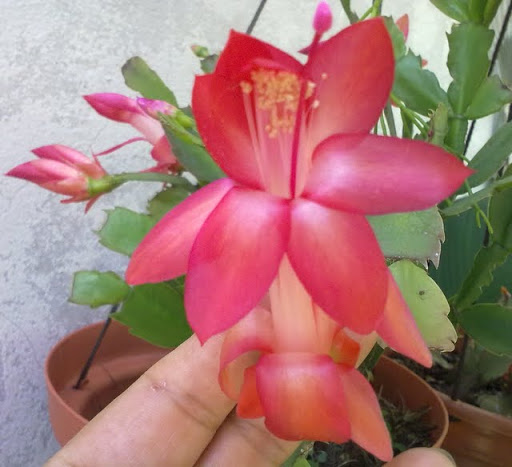 130820113901.jpg