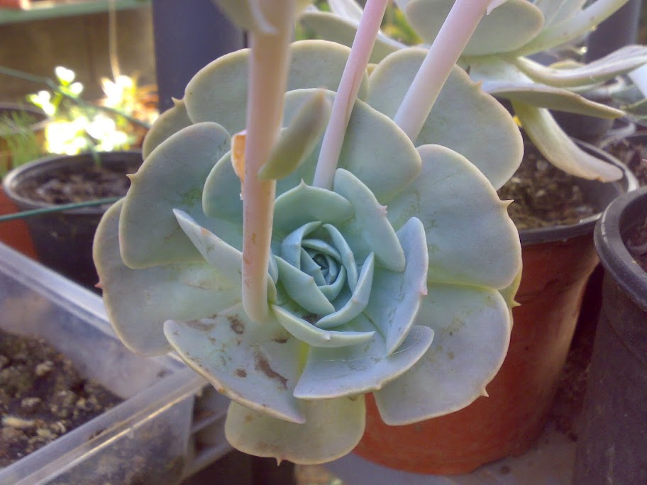 1308201213639.jpg