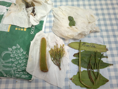 13102011216.jpg