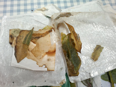 13102011222.jpg