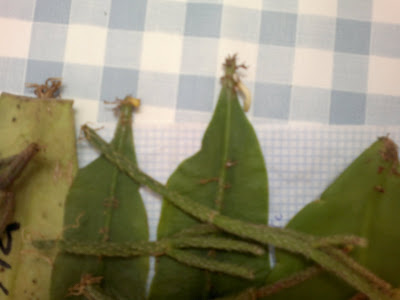 13102011223.jpg