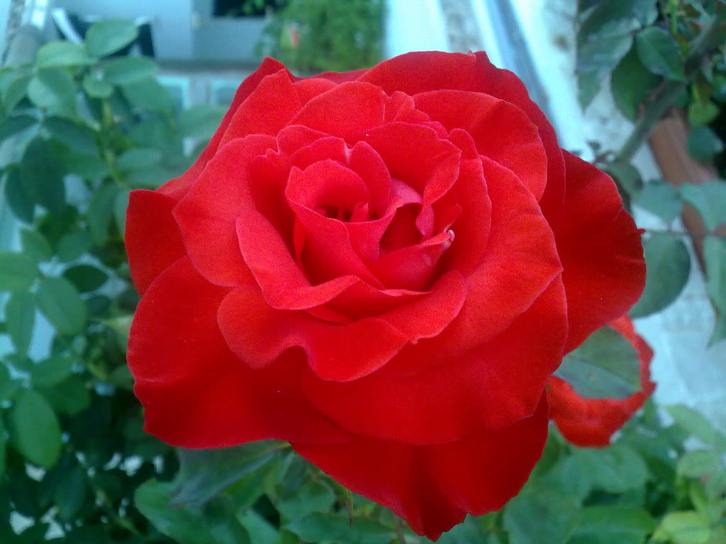 131020112399.jpg