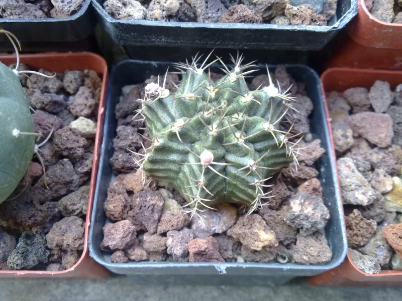 13112010006.jpg