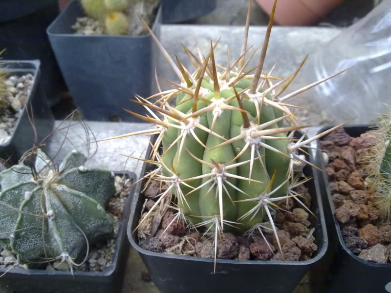 13112010021.jpg