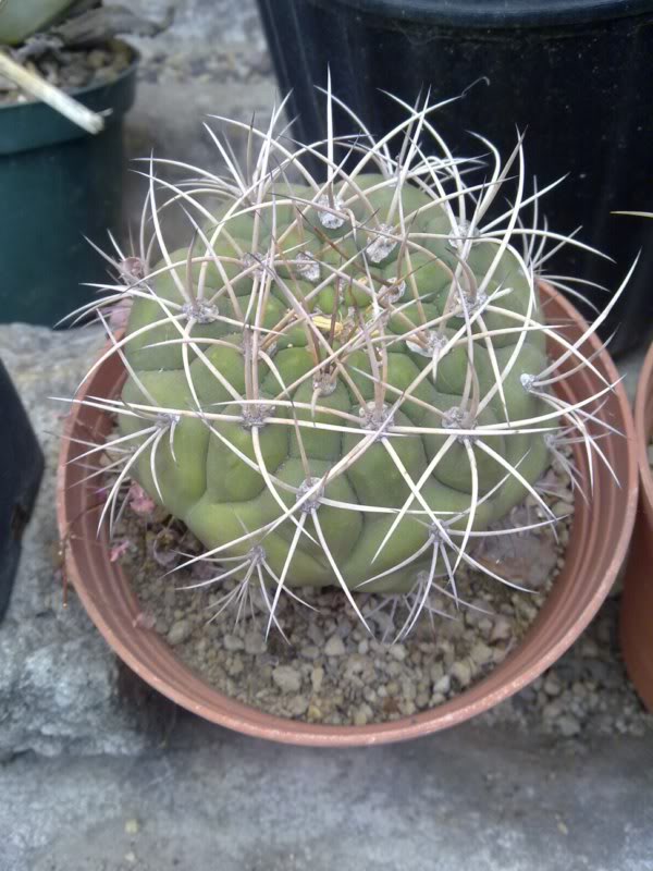 13112010024.jpg