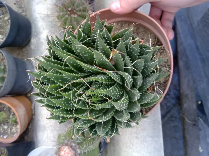 13112010025.jpg