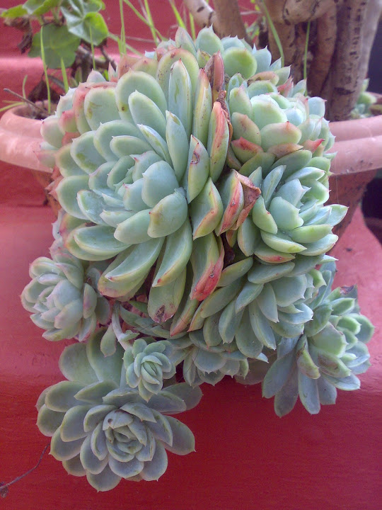 1311201214915.jpg