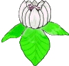 1315_animado.gif